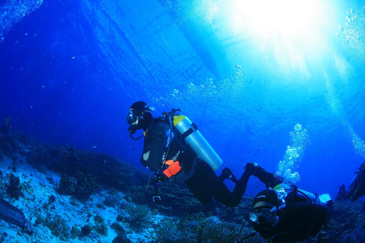 모알보알 pescador island _east point