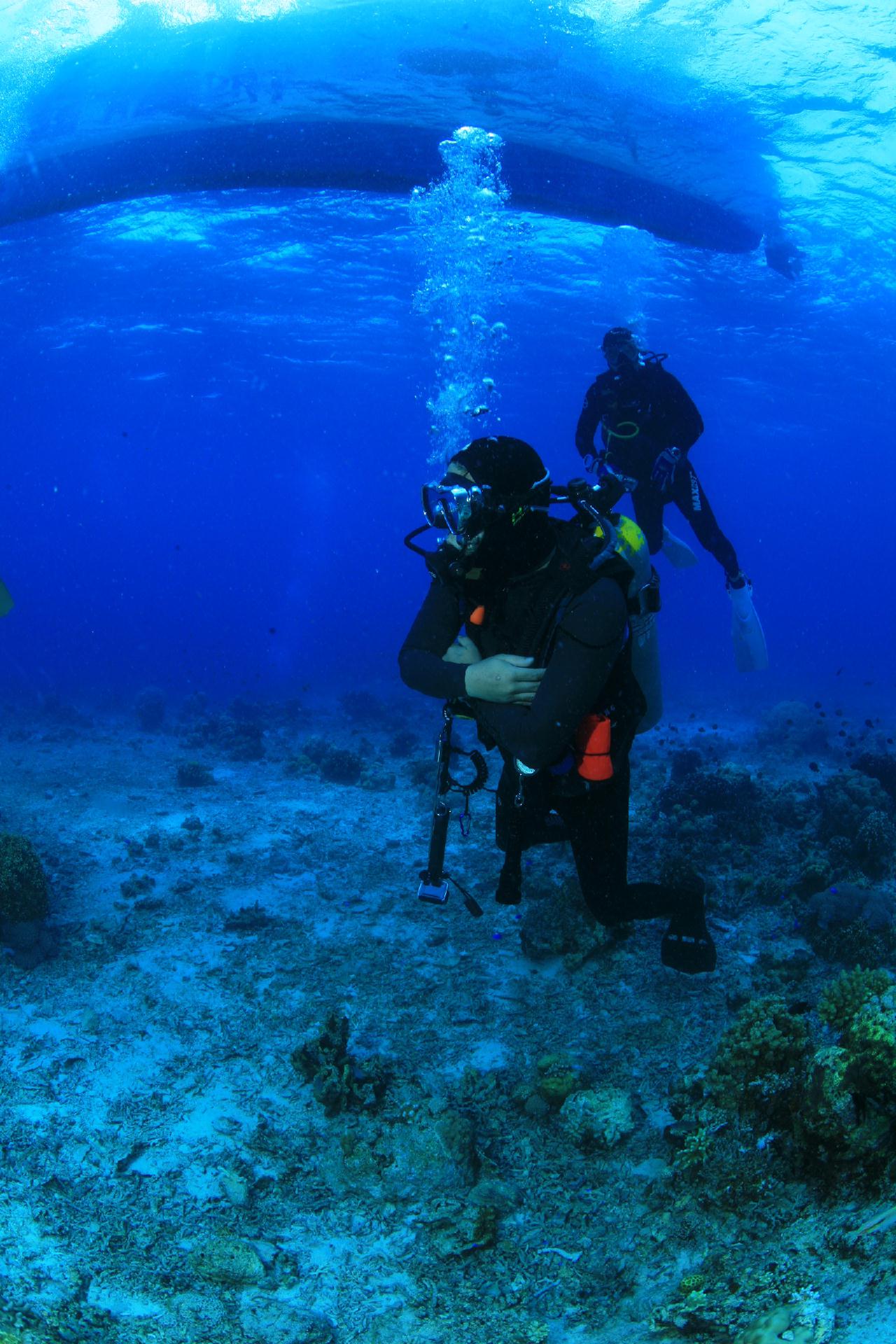 모알보알 pescador island _south ~ west