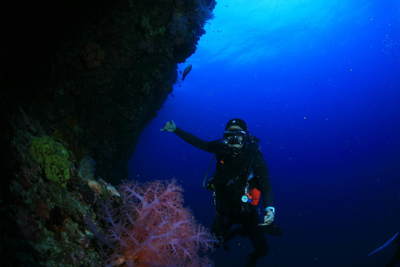 모알보알 pescador island _south ~ west