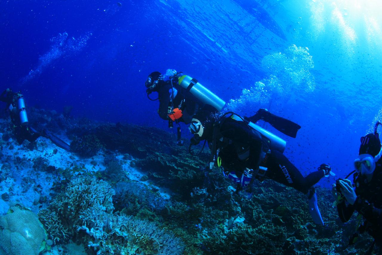 모알보알 pescador island _east point