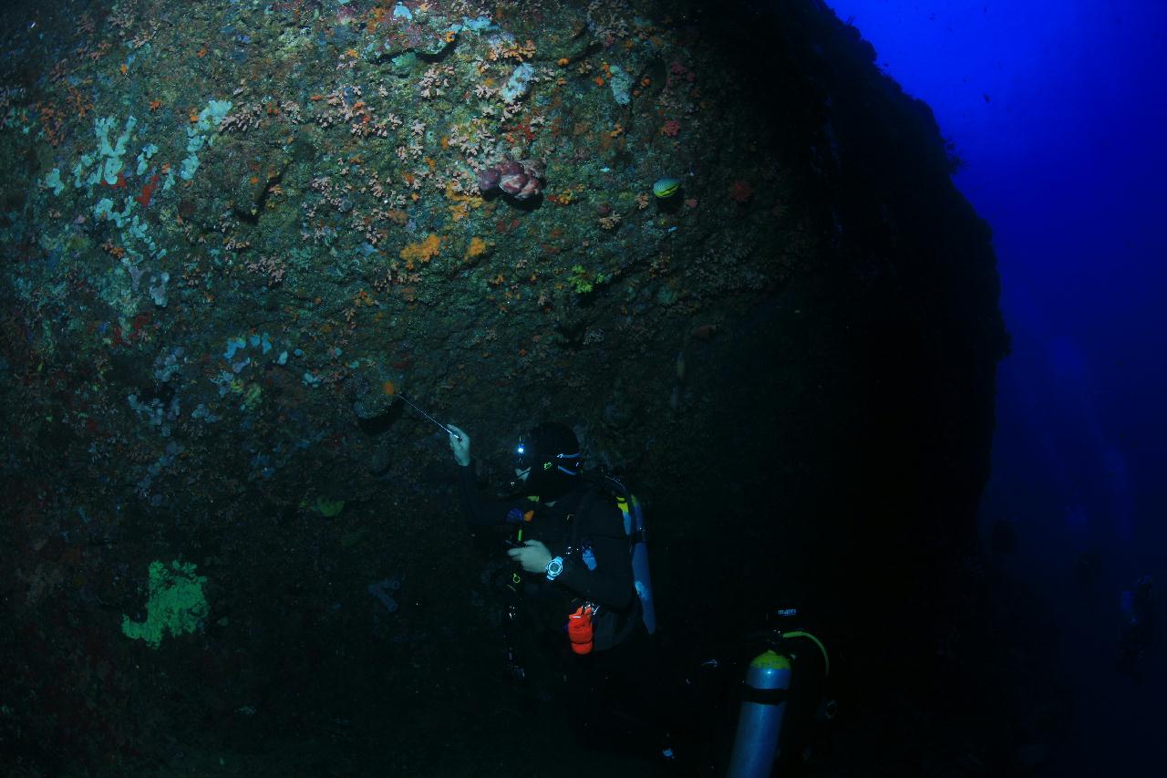 모알보알 pescador island _west 해골바가지 포인트