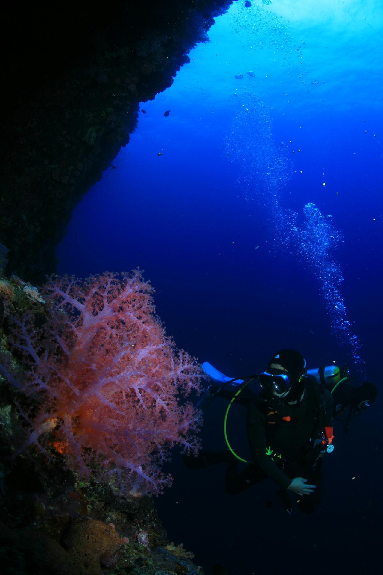 모알보알 pescador island _south ~ west