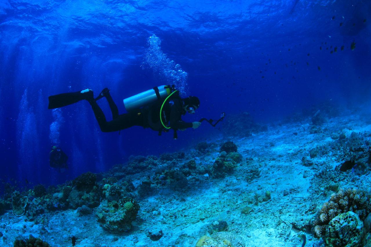 모알보알 pescador island _east point