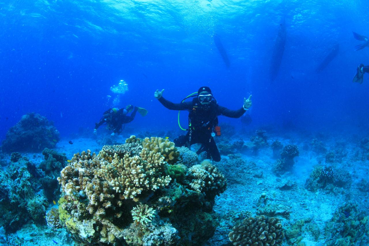 모알보알 pescador island _south ~ west