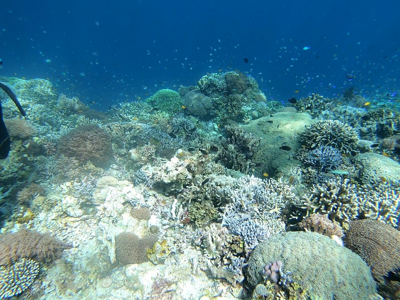 막탄 Tikitiki ~  Marine station 
