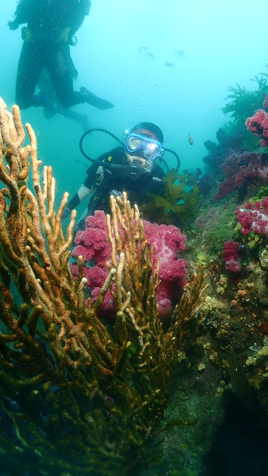 제주도 서귀포 굿다이버 - 범섬