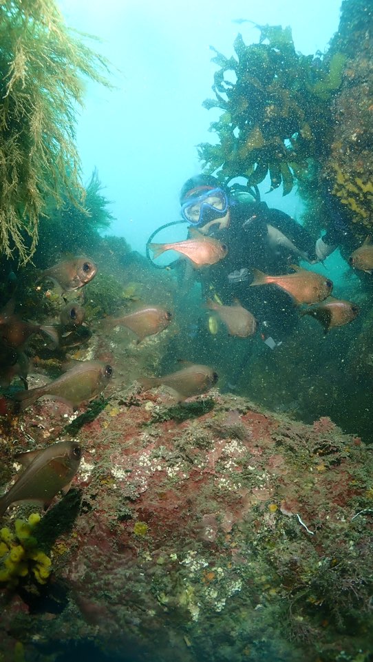 제주도 서귀포 굿다이버 - 범섬