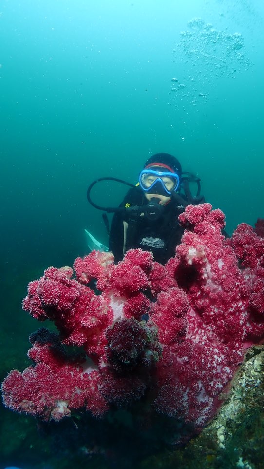제주도 서귀포 굿다이버 - 범섬