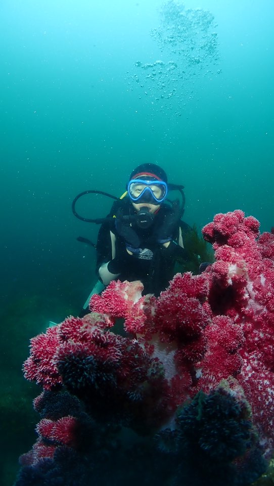 제주도 서귀포 굿다이버 - 범섬