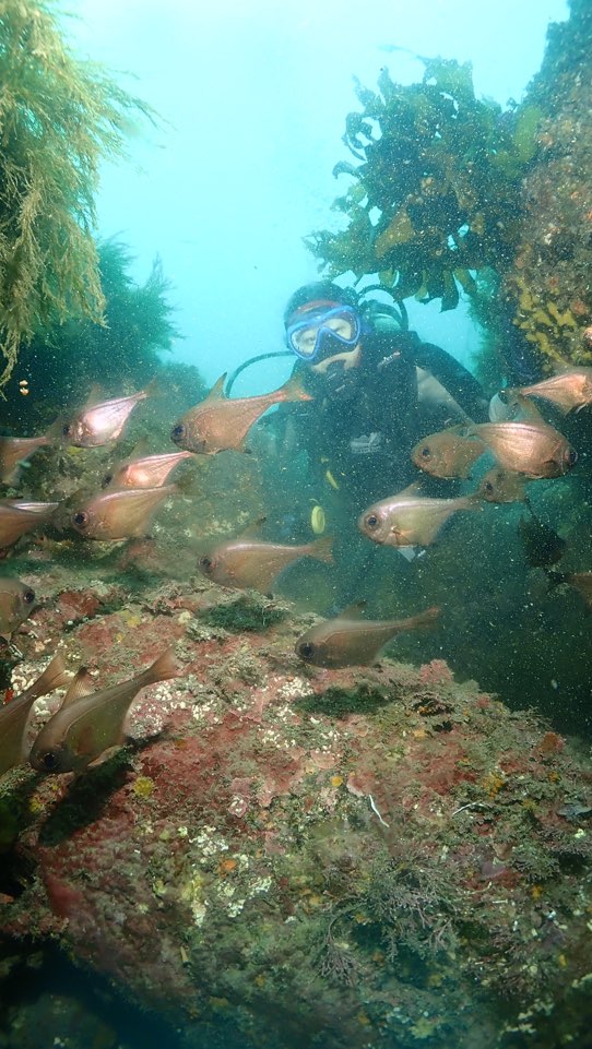 제주도 서귀포 굿다이버 - 범섬