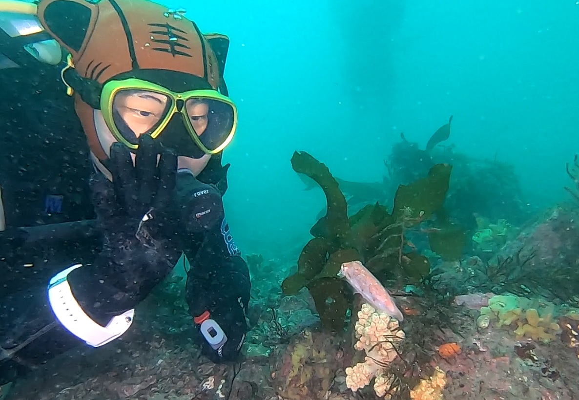 어드밴스드 네이게이션 서포트