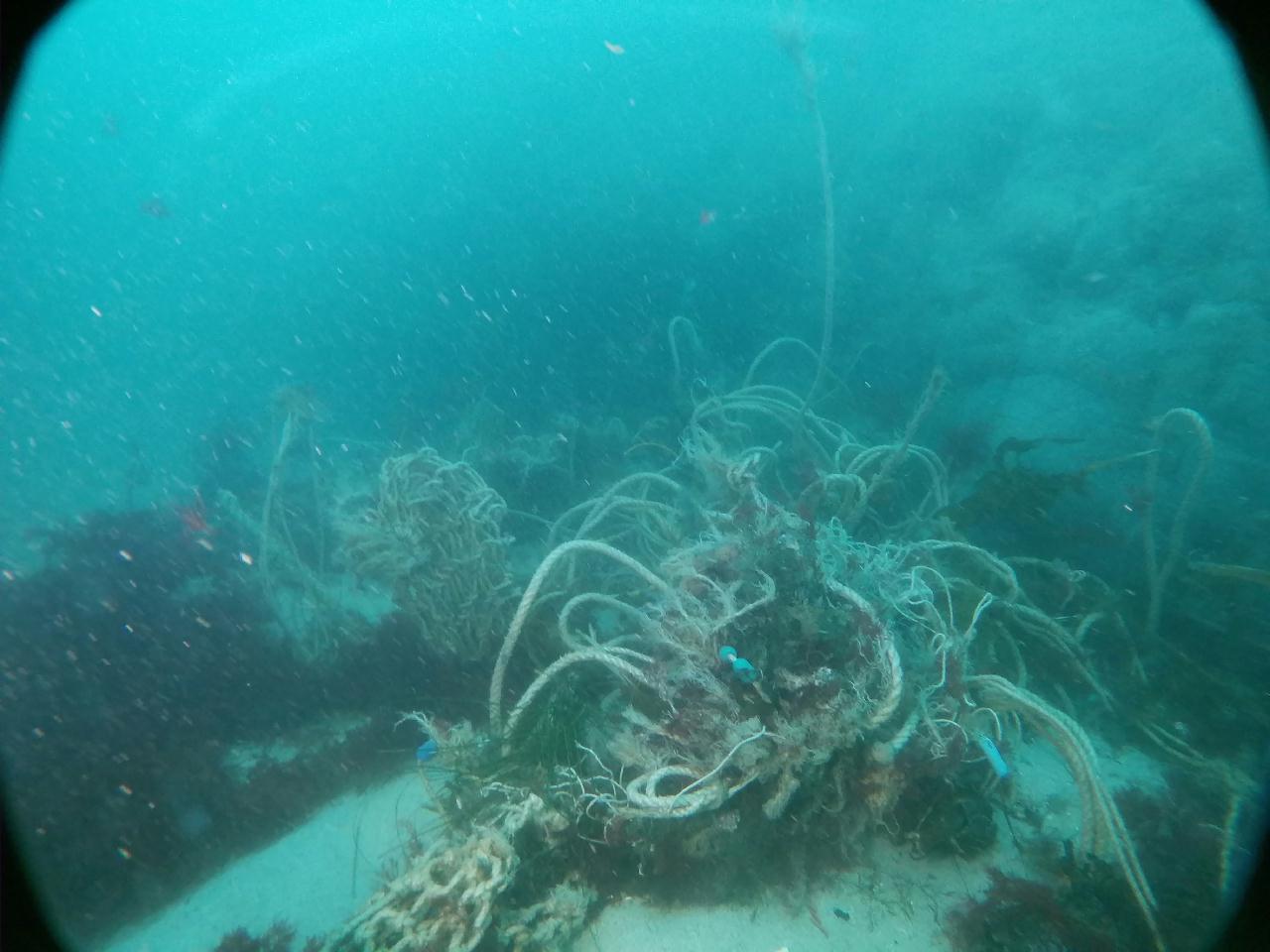 물개바위 라인작업