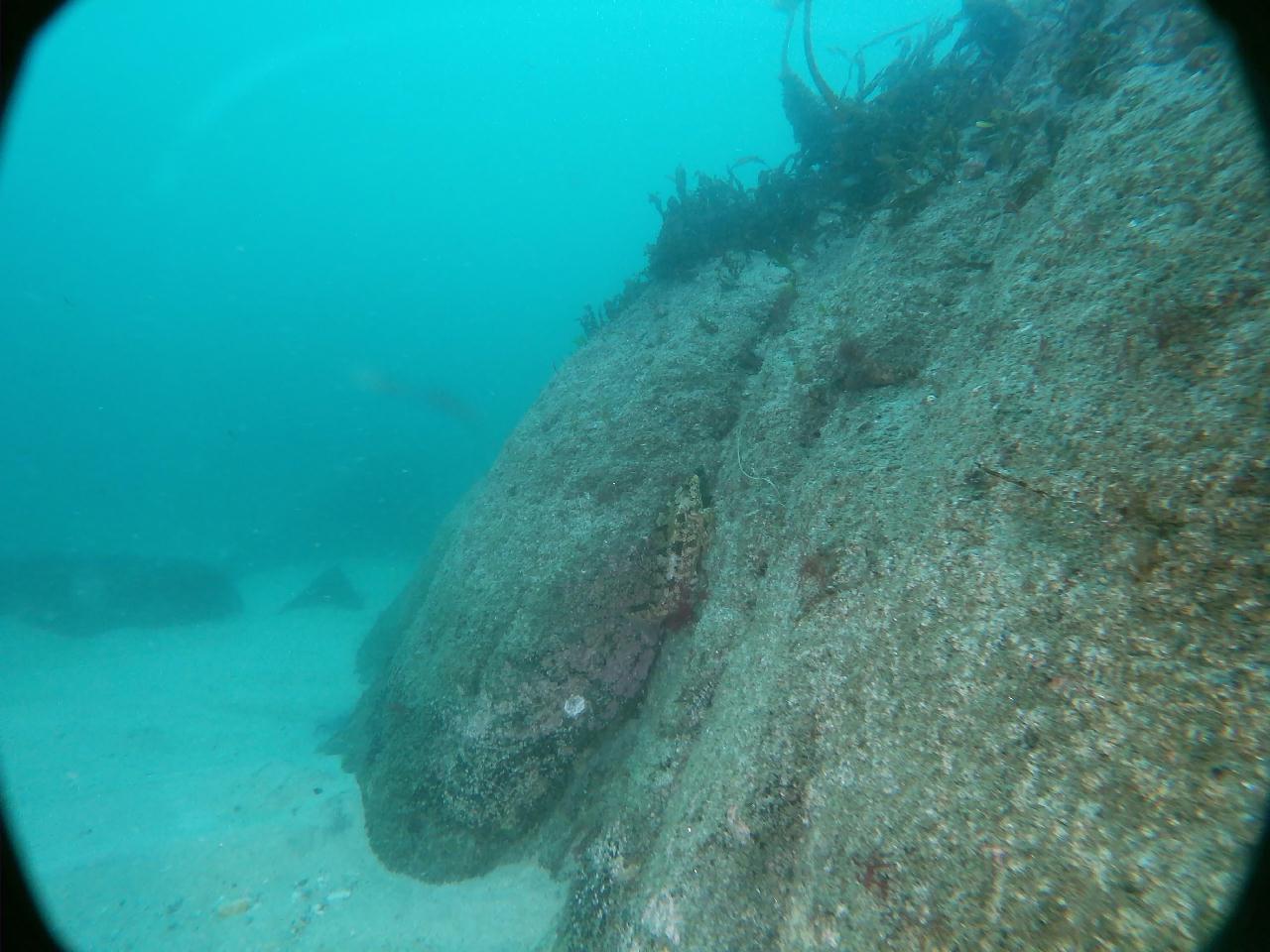 물개바위 라인작업