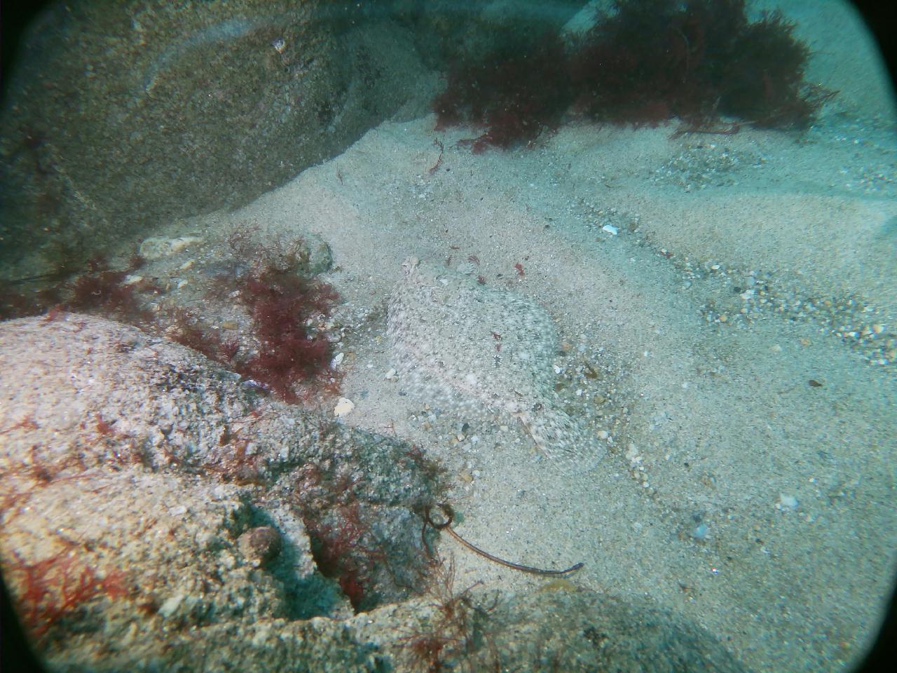 물개바위 라인작업