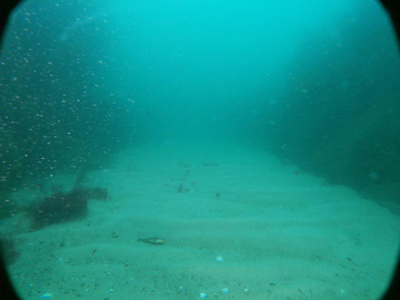 물개바위 라인작업