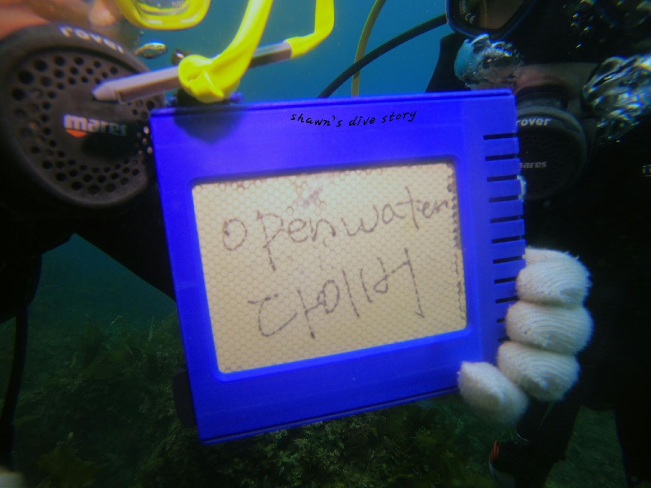 오픈워터 개방수역 2