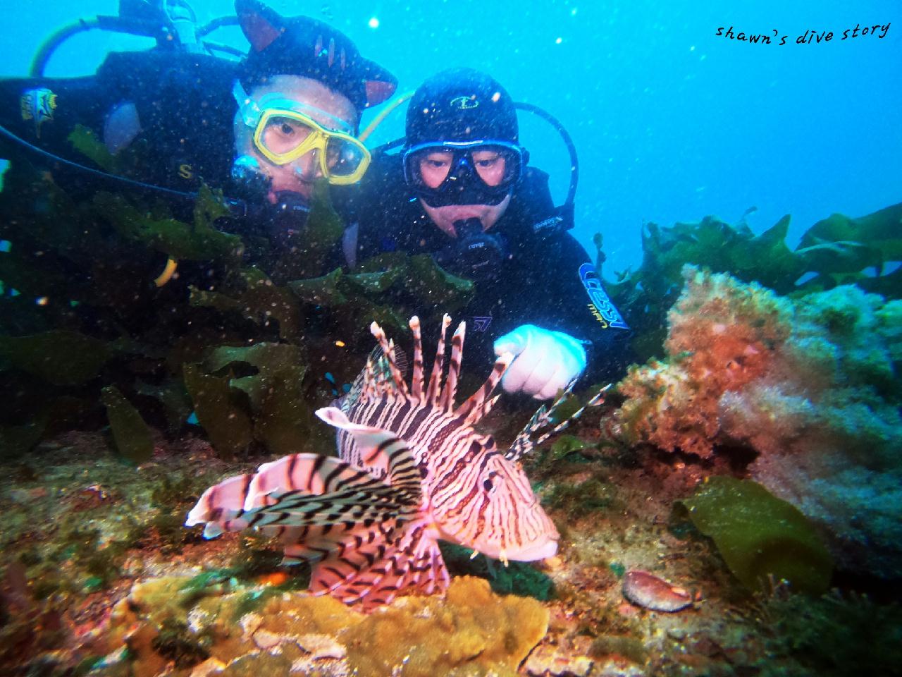 오픈워터 개방수역 2