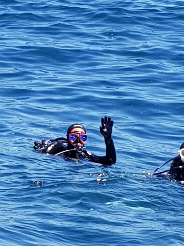 강원도 양양 인구 버디첵 - 인공어초