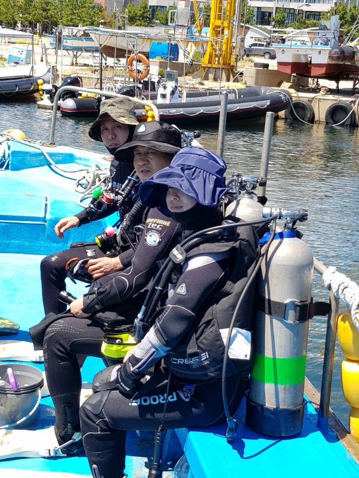 강원도 양양 인구 버디첵 - 인공어초