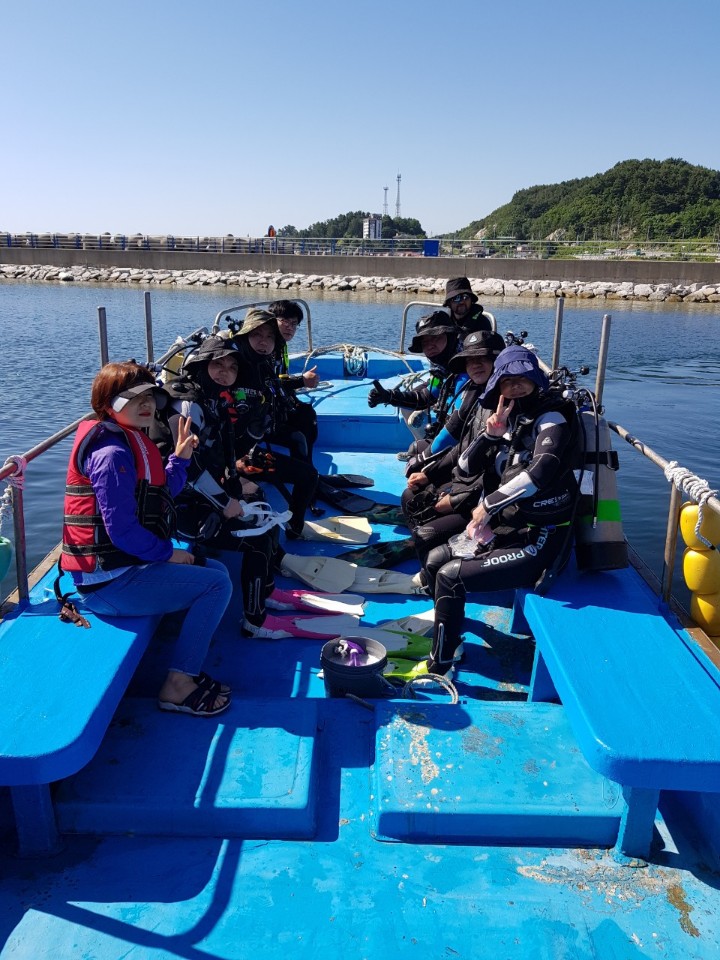강원도 양양 인구 버디첵 - 인공어초