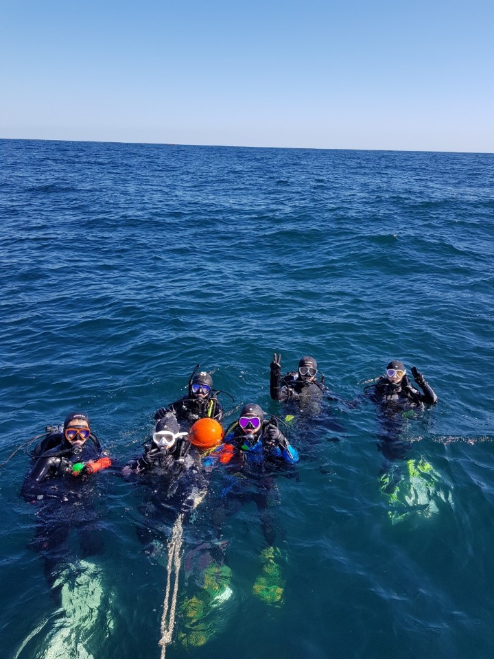 강원도 양양 인구 버디첵 - 인공어초