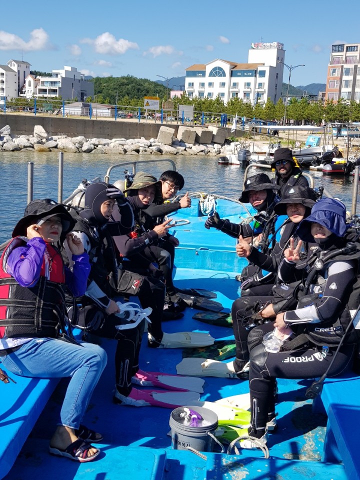 강원도 양양 인구 버디첵 - 인공어초