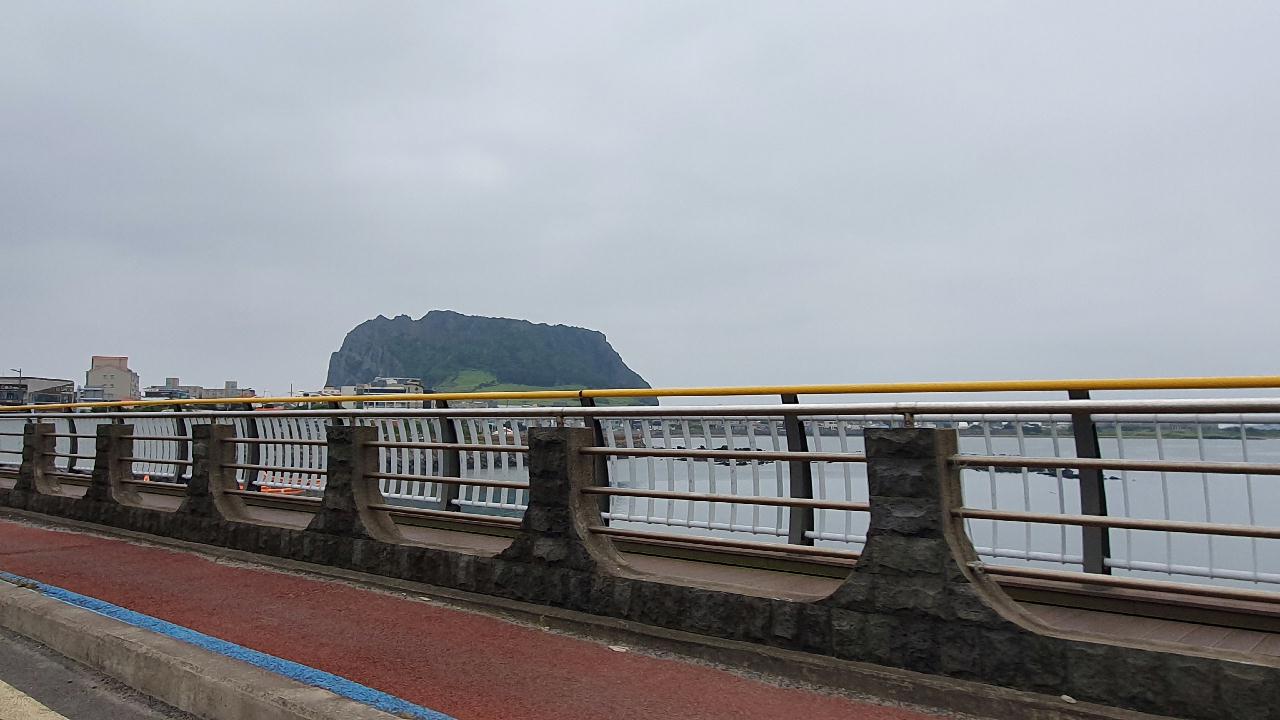 제주도 성산 블루버블 톤독