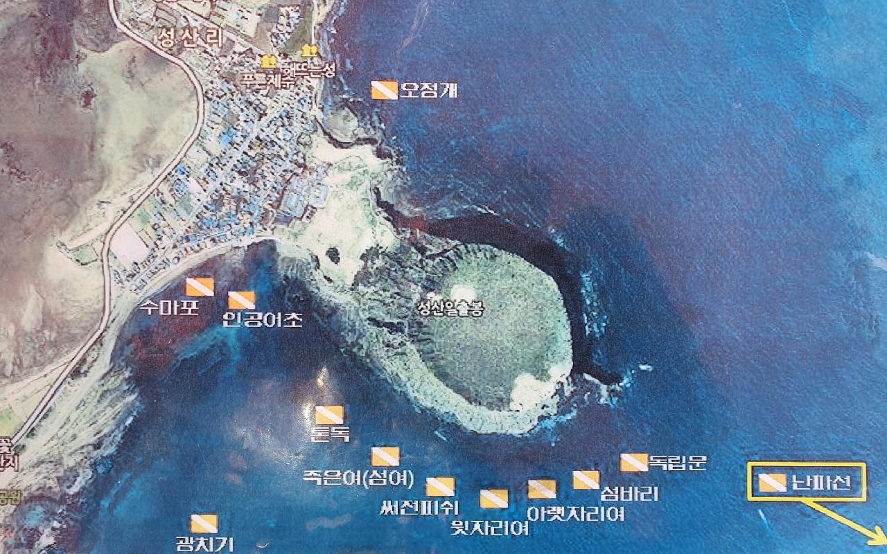 제주도 성산 블루버블 톤독