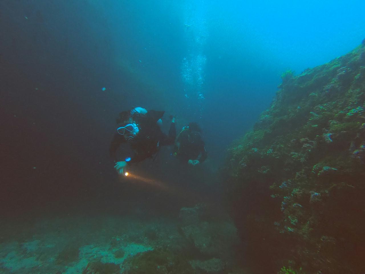 말라파스쿠아 - Gato island