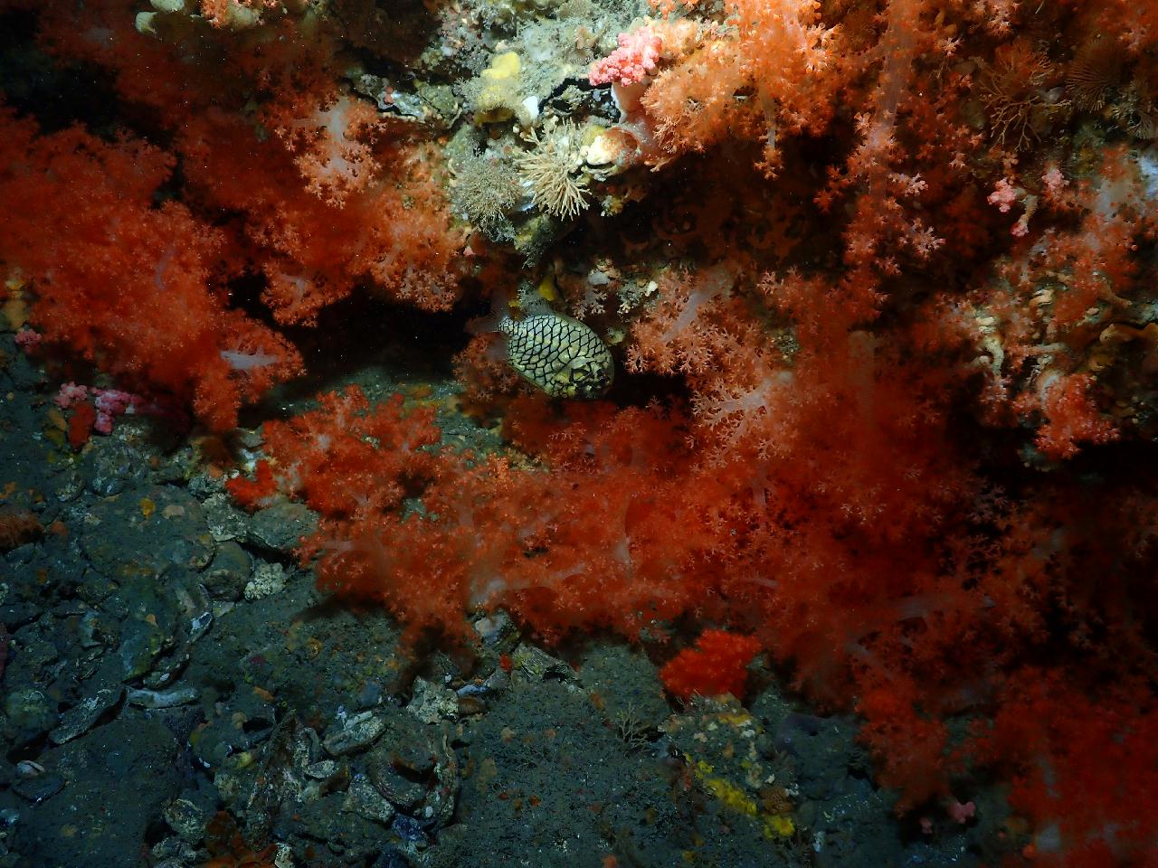 섶섬 버블폭포는 다음에 가고 큰 한개창으로 고고~