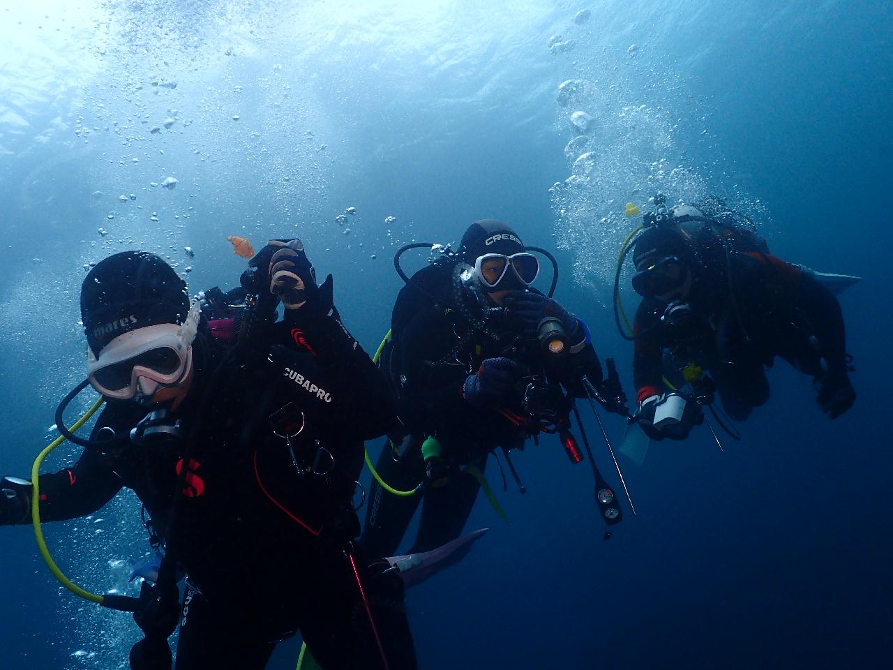  니모를 찾아서 섶섬 작은 한개창으로~