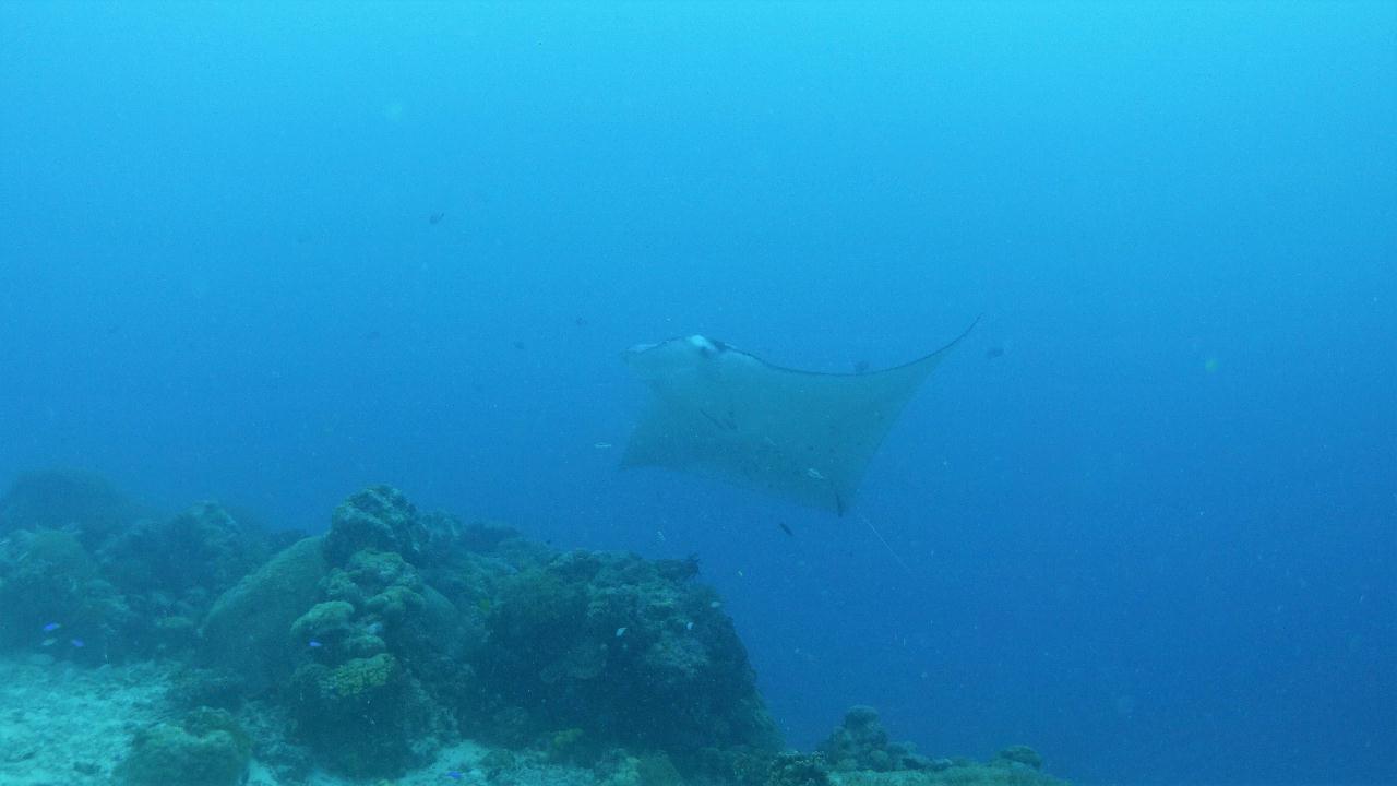 Palau  - German channel 