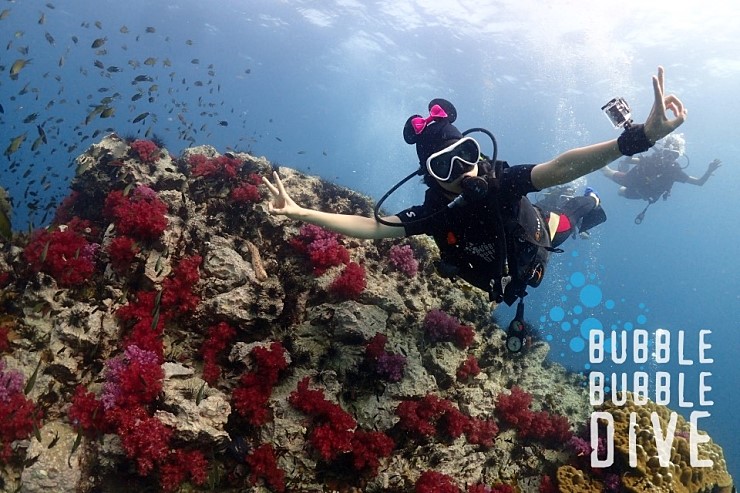 피피섬 펀다이빙3. 고래상어님 안나오심