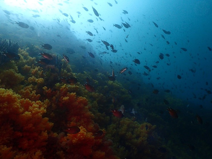 비행기가 지연되면 첫날 다이빙이 힘들다