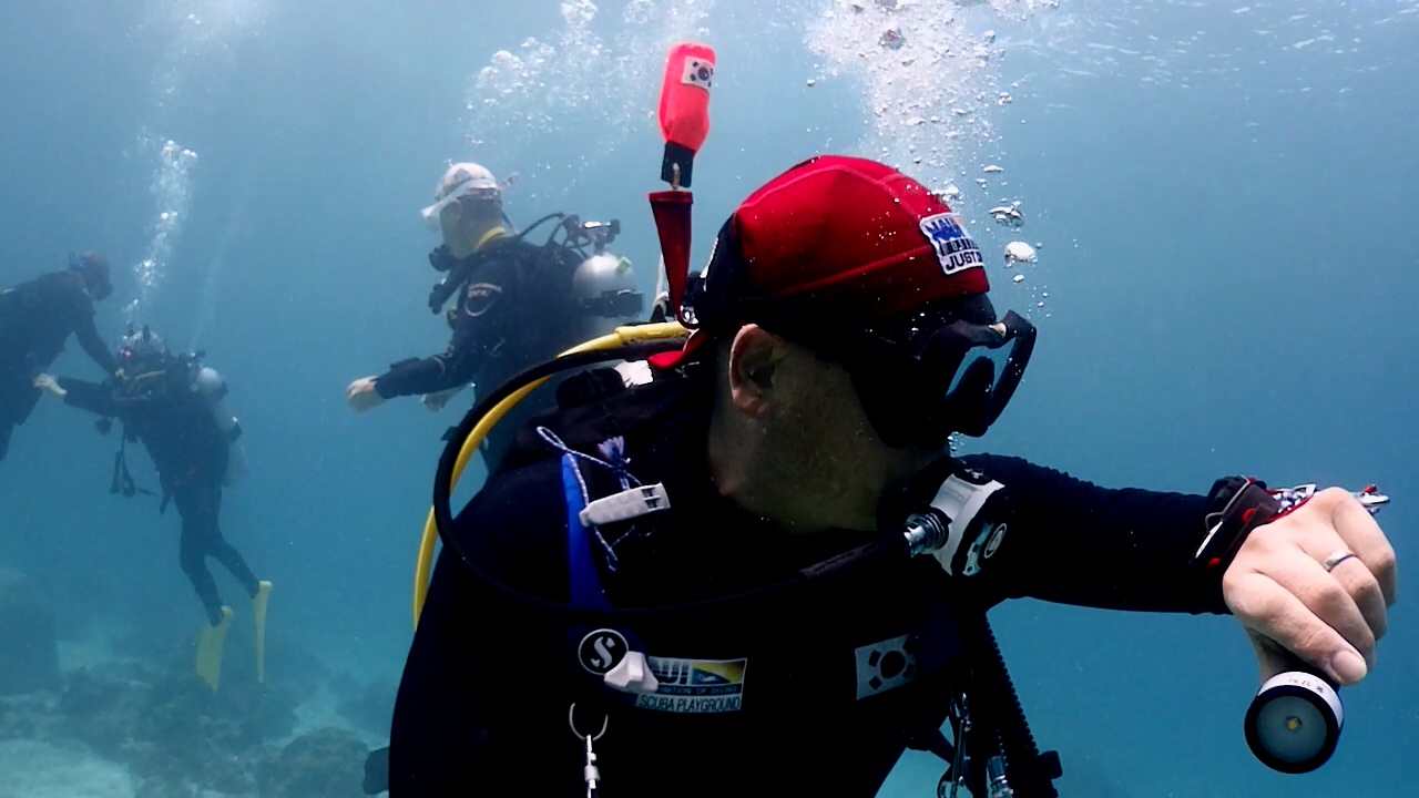 Bohol Blue Water Dive Resort Panglao Is. House Reef.