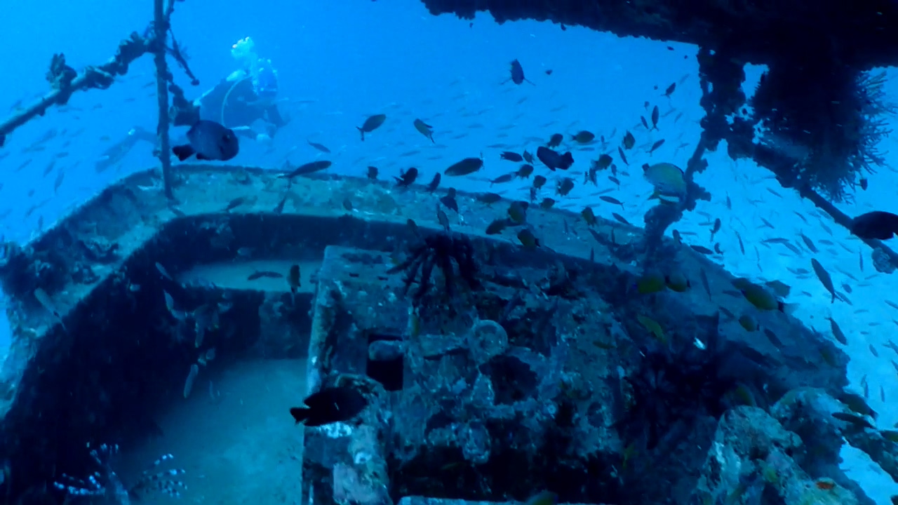Bohol Blue Water Dive Resort Wreck