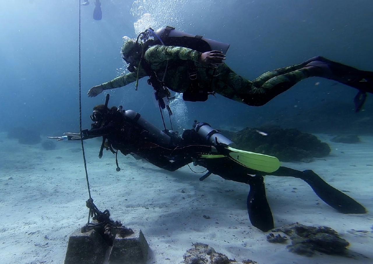# OPEN WATER 1