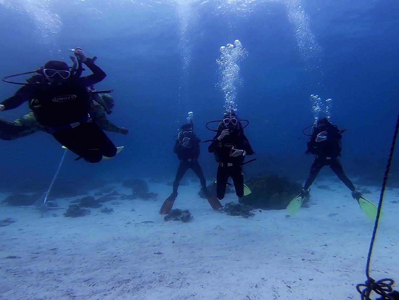 # OPEN WATER 3
