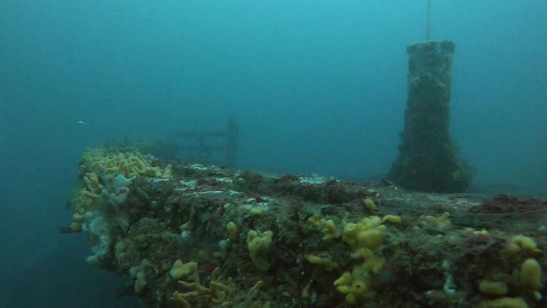 영덕 대진리조트 - 난파선 & 대게