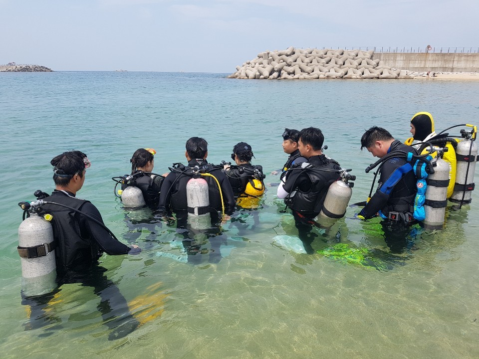 어드밴스 교육
