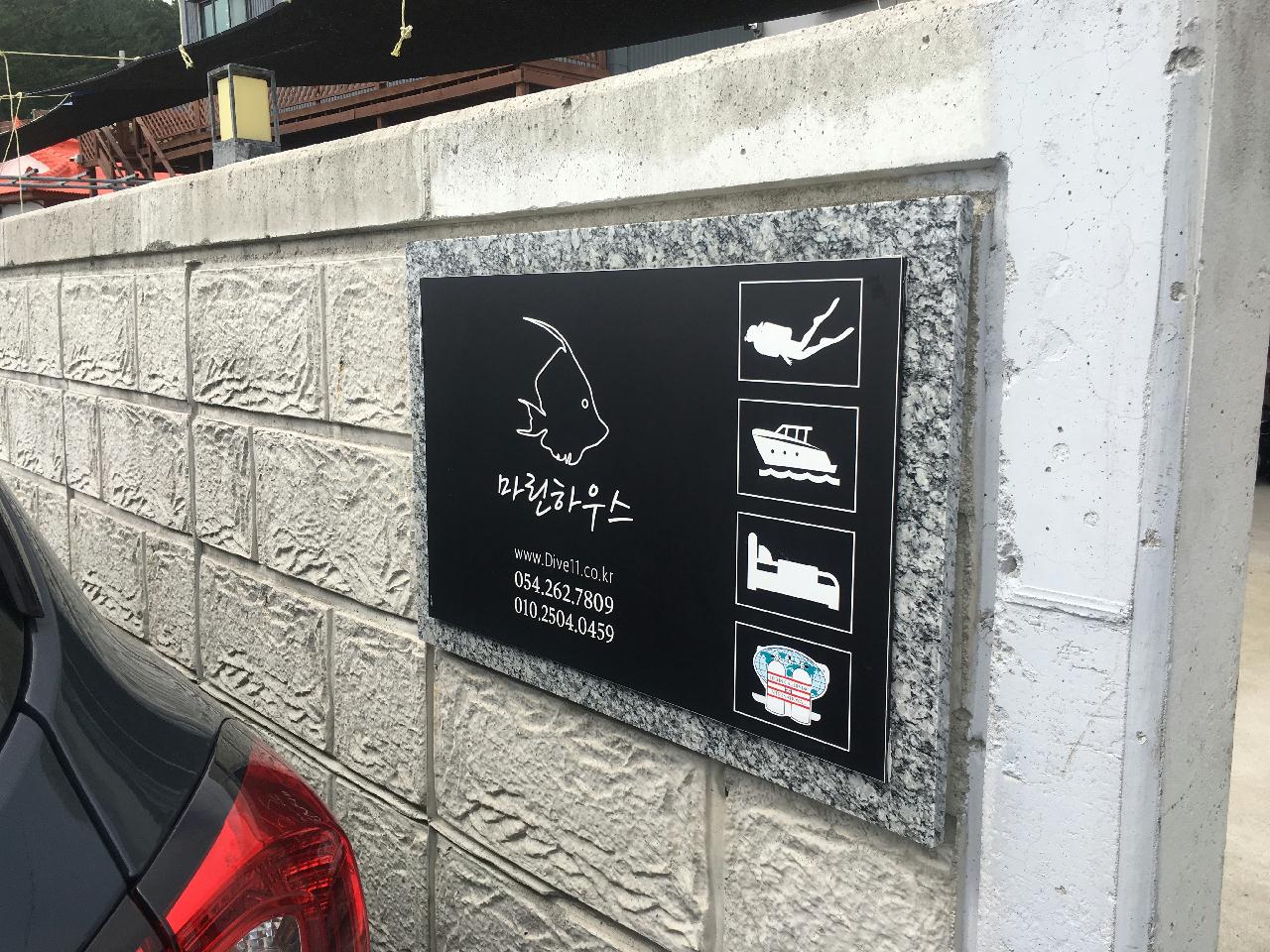 포항 청진 다이브11 에서