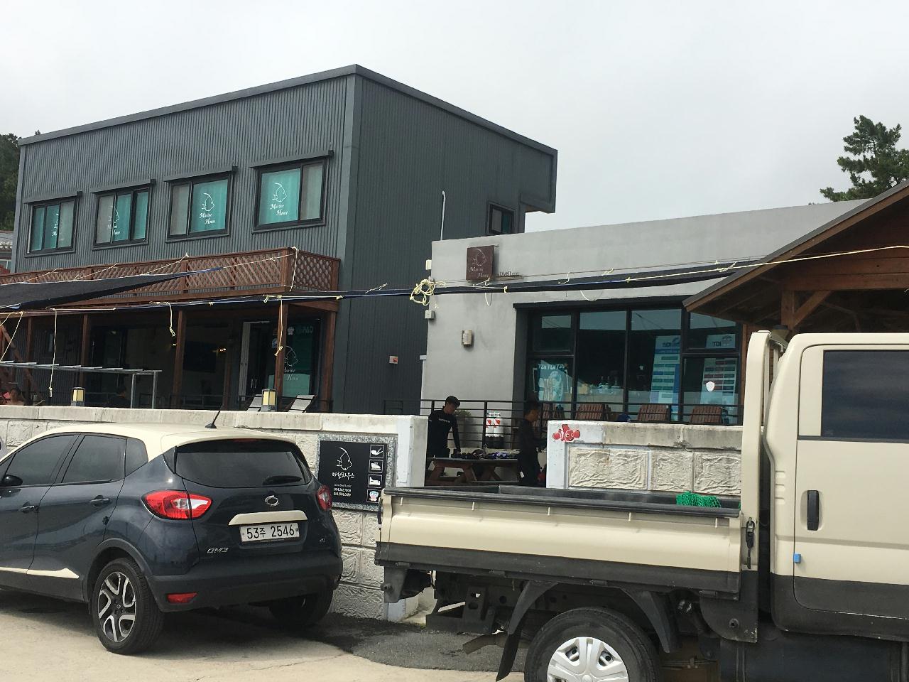 포항 청진 다이브11 에서