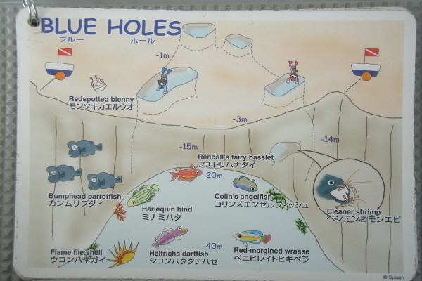 팔라우 - Blue Holes