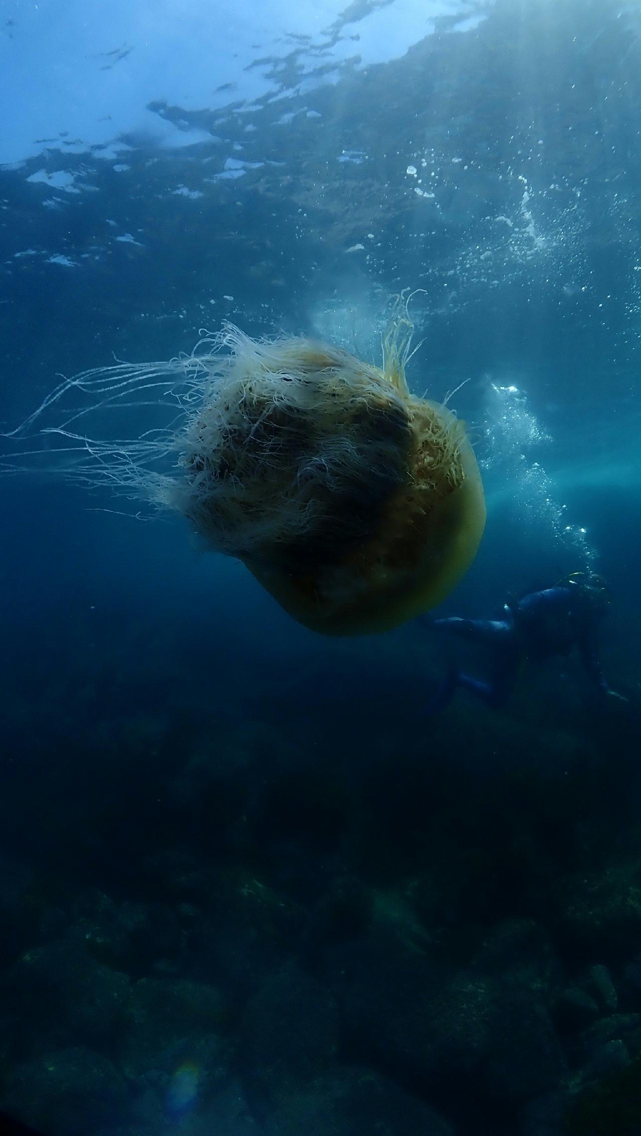 Fun diving in the best condition