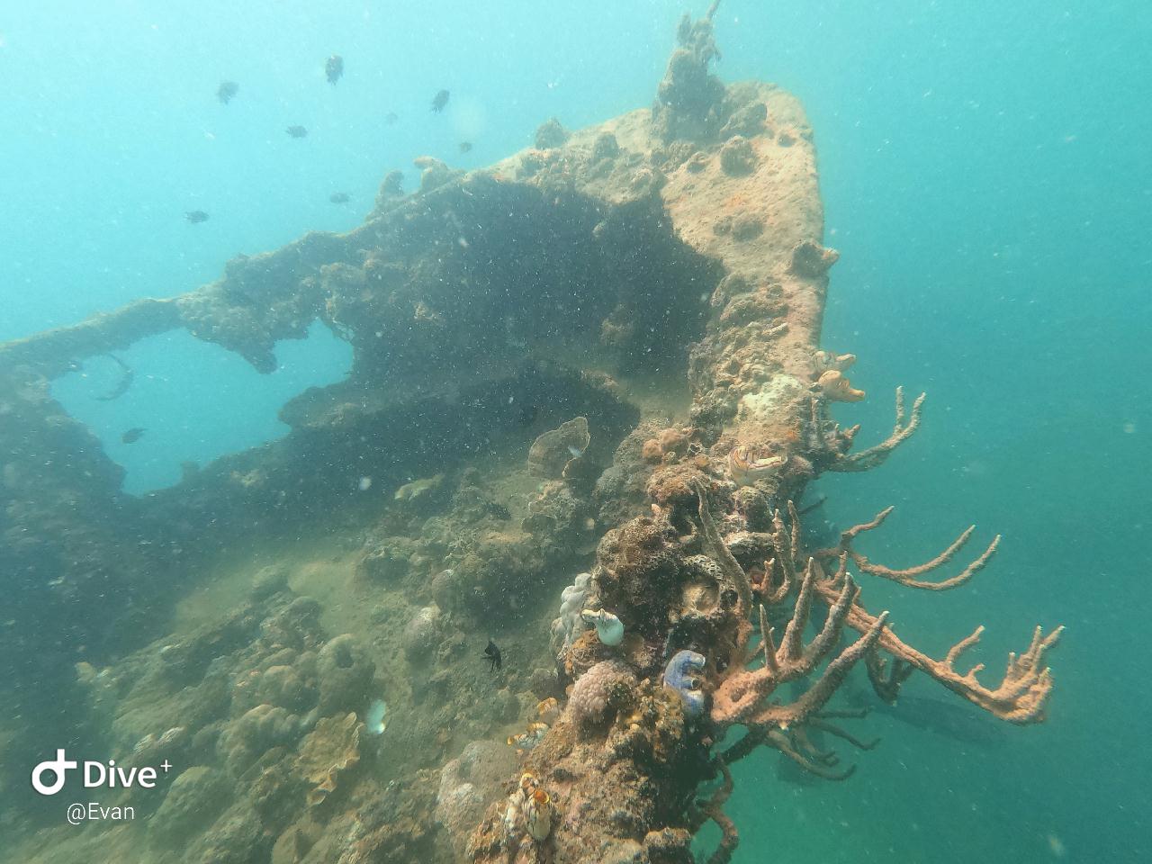 Coron Palawan Philippines - Terukaze maru Wreck