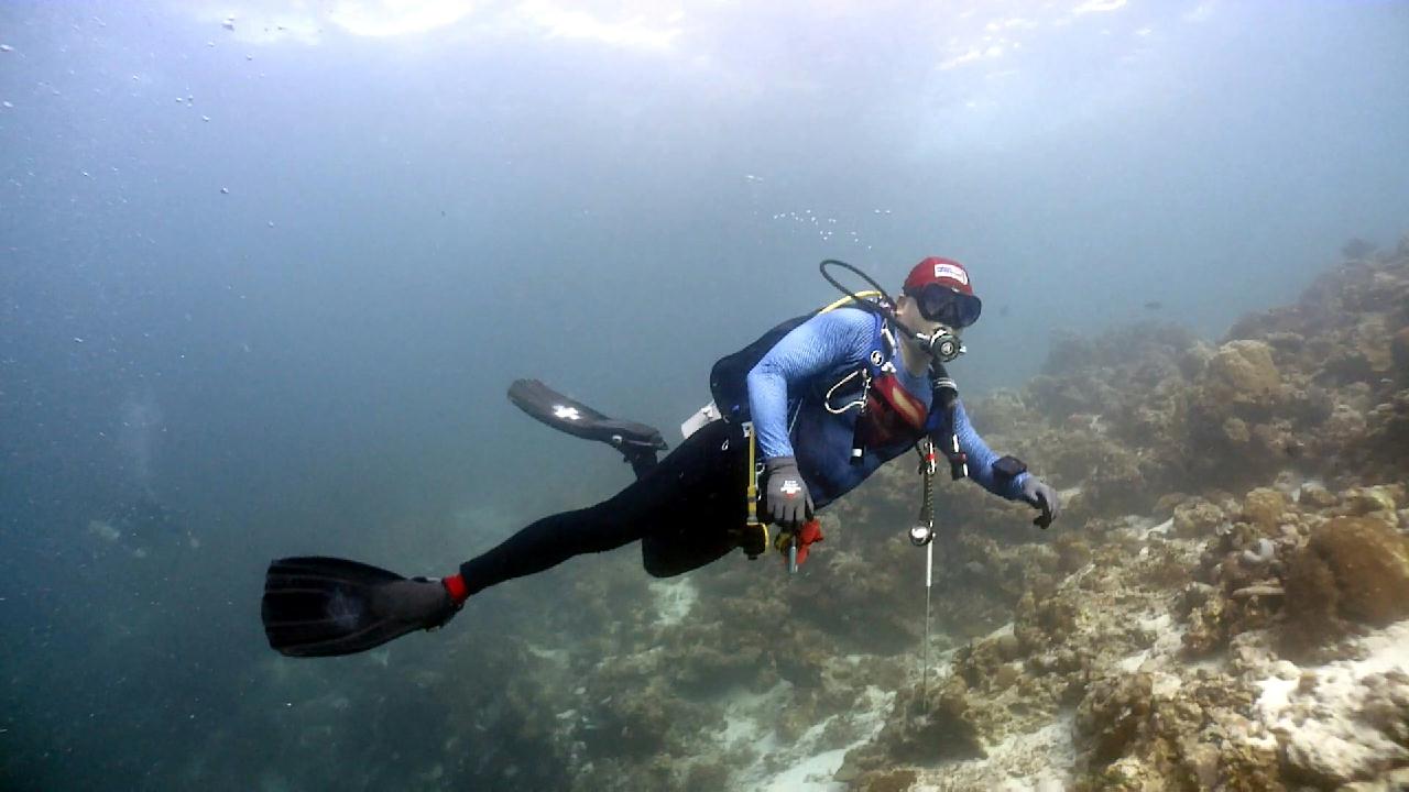 Cebu Blue sea Dive, Hilutungan-2