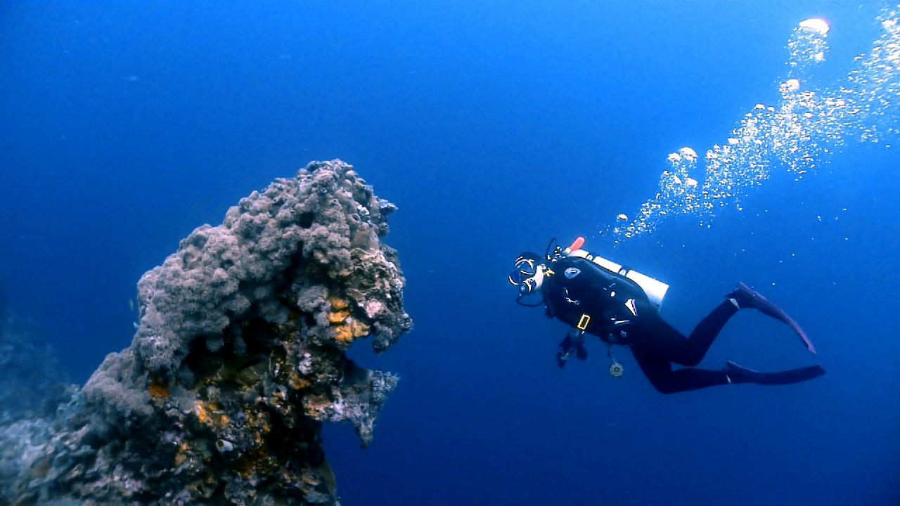 Cebu Blue sea Dive, Kontiki House Reef.