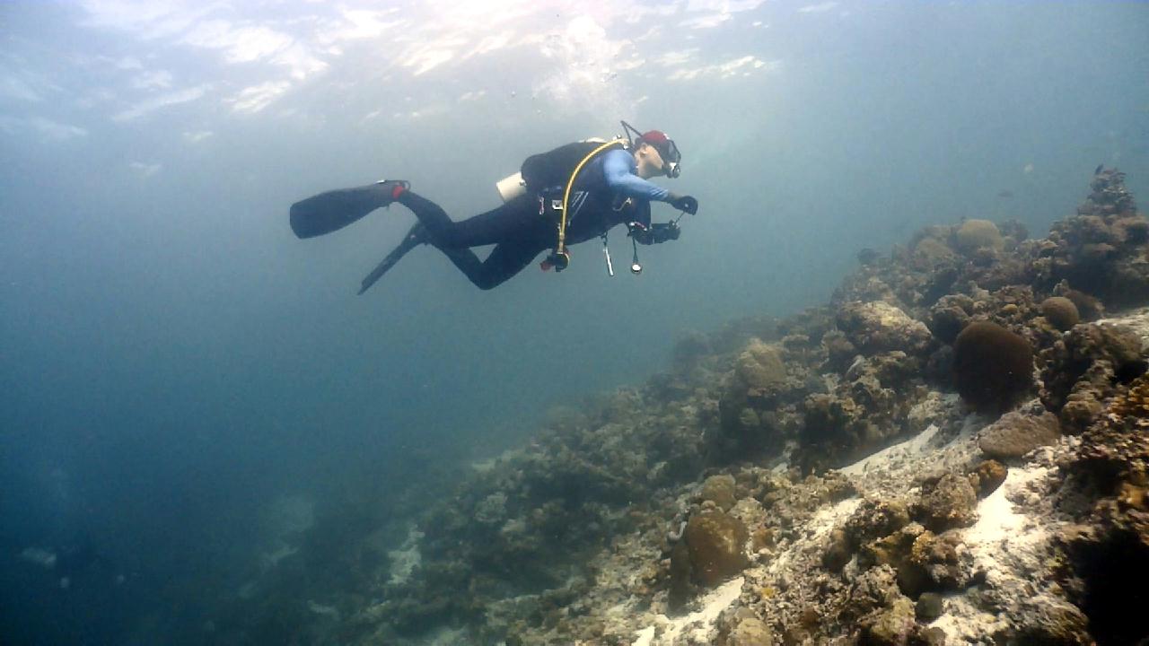 Cebu Blue sea Dive, Hilutungan-2