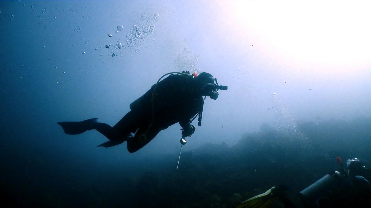 Cebu Blue sea Dive, Hilutungan-1