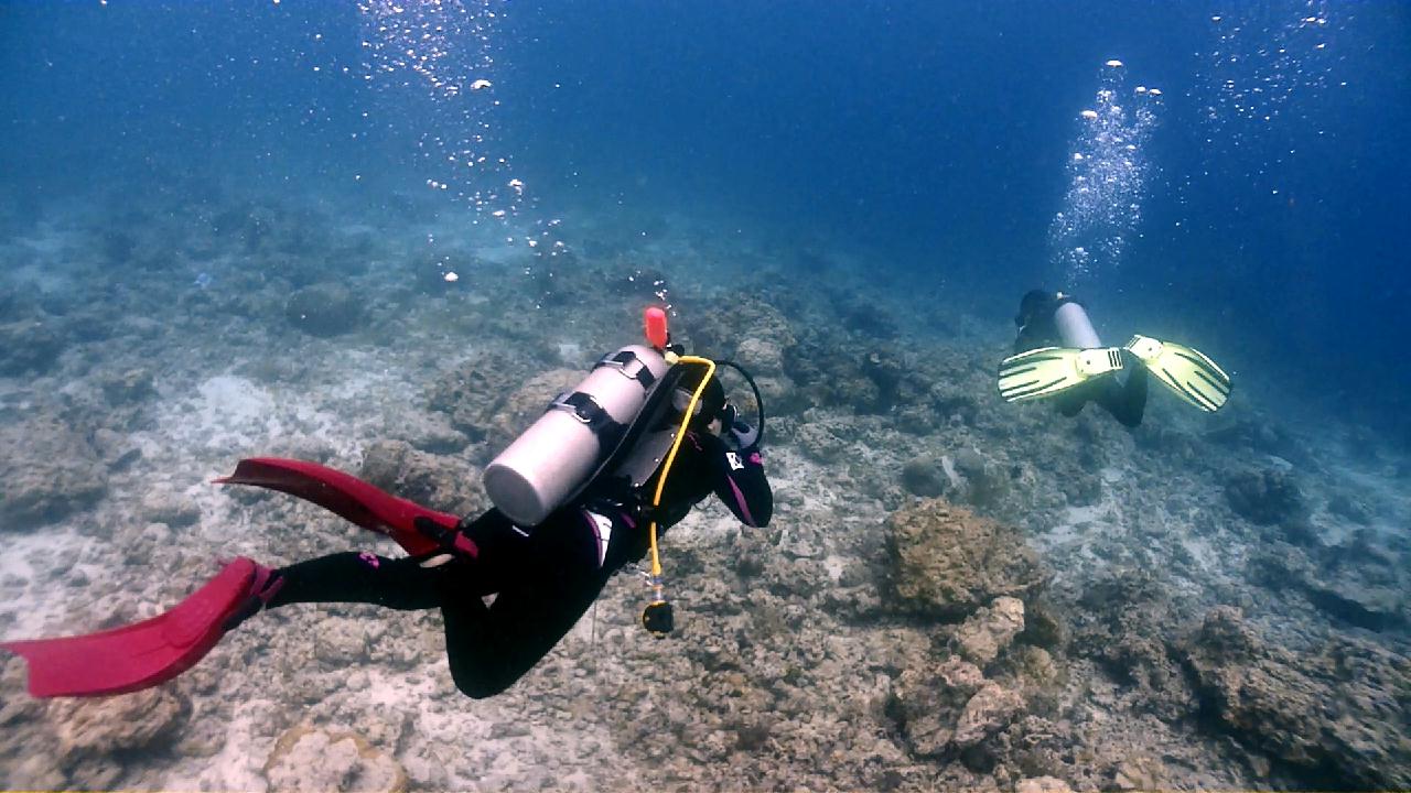 Cebu Blue sea Dive, Kontiki House Reef.